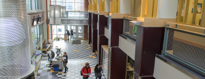 Rowe Center for Undergraduate Education